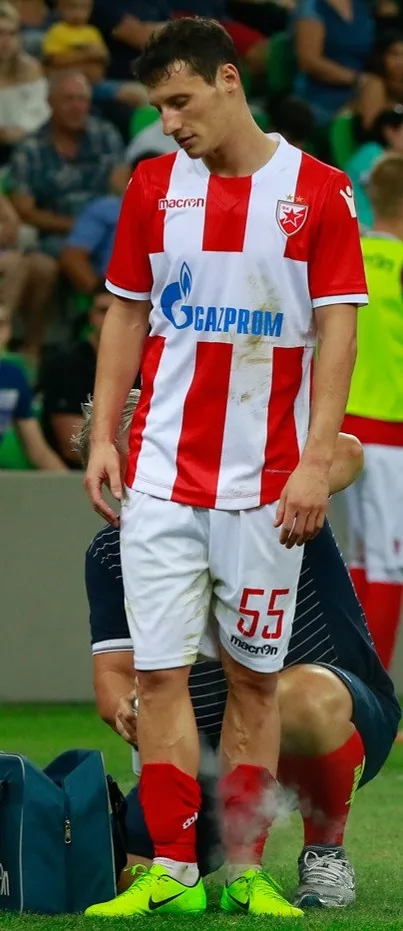 Slavoljub Srnić — srpski fudbaler