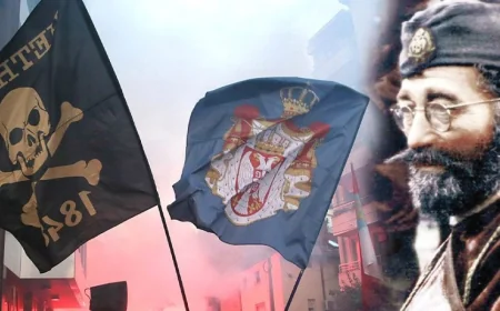 Povodom teksta “Gde su četničke bitke protiv okupatora”